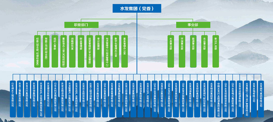 探析水发集团智慧财务建设的创新路径 财务管理信息系统升级与实践